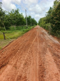 วันที่ 8 สิงหาคม 2568 ดร.คุณากร อักษรพรมราช นายกองค์การบริหารส่วนตำบลโพนงาม มอบหมายให้เจ้าหน้าที่องค์การบริหารส่วนตำบลโพนงาม ลงพื้นที่ซ่อมแซมและปรับปรุงถนนบ้านหลักป้าย หมู่ที่ 6