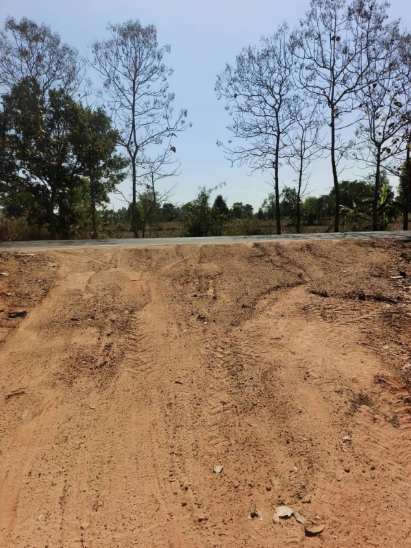 วันที่ 10 กุมภาพันธ์ 2569 เจ้าหน้าที่องค์การบริหารส่วนตำบลโพนงาม ลงพื้นที่ซ่อมแซมและปรับปรุงถนนภายในบ้านหนองแสง หมู่ 7 โดยใช้รถไถฟาร์มแทรกเตอร์แก้ไขปัญหาถนนชำรุด เป็นหลุม เป็นบ่อ เพื่อช่วยบรรเทาความเดือดร้อนให้กับประชาชนในพื้นที่