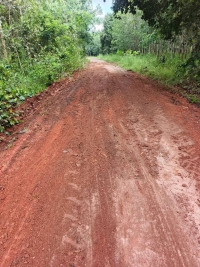 วันที่ 2 กันยายน 2568 ดร.คุณากร อักษรพรมราช นายกองค์การบริหารส่วนตำบลโพนงาม มอบหมายให้เจ้าหน้าที่องค์การบริหารส่วนตำบลโพนงาม ลงพื้นที่ซ่อมแซมและปรับปรุงถนนบ้านโนนน้อย หมู่ที่ 2