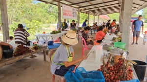 ตลาด บ้านเจริญพัฒนา ต.โพนงาม อ.บุณฑริก จ.อุบลราชธานี