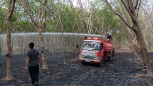 วันที่ 7 กุมภาพันธ์ 2569 เจ้าหน้าที่องค์การบริหารส่วนตำบลโพนงาม ลงพื้นที่ระงับเหตุไฟไหม้ บริเวณสวนยางพาราของชาวบ้าน ภายในบ้านโนนแถลง หมู่ 14 (ทางขึ้นวัดภูไห) เบื้องต้นสามารถระงับเหตุดังกล่าวได้เป็นที่เรียบร้อย